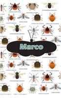 Marco: Bug Insect Handwriting for K-3 Students Practice Paper Book Notebook Journal Book 120 Pages 6x9