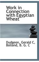 Work in Connection with Egyptian Wheat