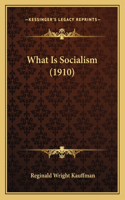 What Is Socialism (1910)