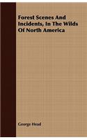 Forest Scenes and Incidents, in the Wilds of North America