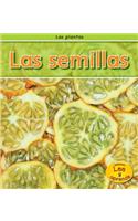 Las Semillas