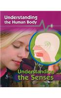 Understanding the Senses