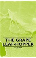 The Grape Leaf-Hopper