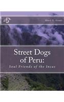 Soul Friends of the Incas
