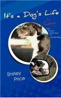 It's a Dog's Life by Coco