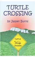 Turtle Crossing