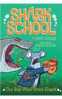 The Boy Who Cried Shark, 4