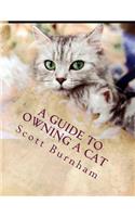 A Guide To Owning A Cat