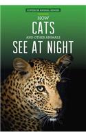 How Cats and Other Animals See at Night