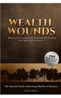 Wealth Wounds: Why you've had money troubles for so long and what to do about it.: The Essential Guide to Becoming Wealthy in Recovery