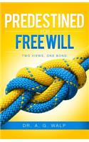Predestined for Freewill