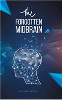 Forgotten Midbrain
