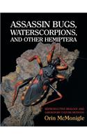 Assassin Bugs, Waterscorpions, and Other Hemiptera