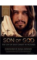 Son of God: The Life of Jesus Christ in Pictures