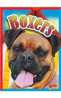 Boxers