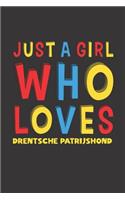 Just A Girl Who Loves Drentsche Patrijshond