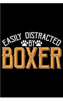 Easily Distracted By Boxer