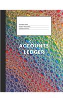 Accounts Ledger