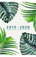 2019 - 2020, 18 Month Weekly & Monthly Planner: Fern, January 2019 - June 2020(1 2019 2020 18-Month Daily Weekly Monthly Planner, Organizer,)