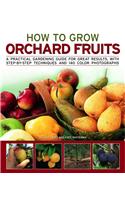 How to Grow Orchard Fruit