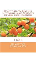 How to Grow Peaches, Nectarines and Apricots in Very Small Gardens