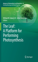 Leaf: A Platform for Performing Photosynthesis