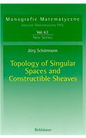 Topology of Singular Spaces and Constructible Sheaves