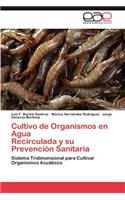 Cultivo de Organismos en Agua Recirculada y su Prevención Sanitaria