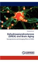 Dehydroepiandrosterone (DHEA) and Brain Aging