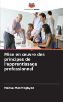 Mise en oeuvre des principes de l'apprentissage professionnel
