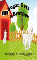 Sugar Gets a Brother