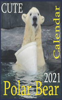 CUTE Polar Bear