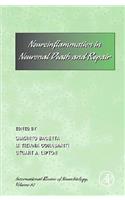 Neuro-Inflammation in Neuronal Death and Repair