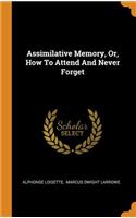 Assimilative Memory, Or, How to Attend and Never Forget