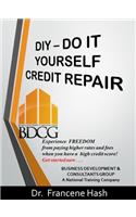 DIY - Do It Yourself Credit Repair