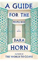 A Guide for the Perplexed: A Novel