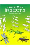 How to Draw Insects