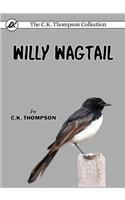 Willy Wagtail