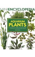 Aquarium Plants