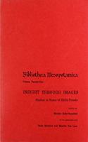 Insight Through Images