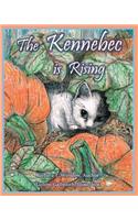 The Kennebec is Risiing
