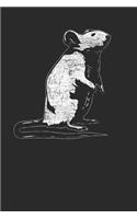 Mouse Drawing