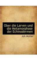 Ober Die Larven Und Die Metamorphase Der Echinodermen