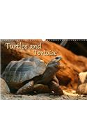 Turtles and Tortoise / UK-Version 2017