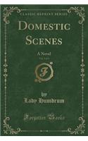 Domestic Scenes, Vol. 3 of 3: A Novel (Classic Reprint)