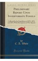 Preliminary Report Upon Invertebrate Fossils: Collected by the Expeditions of 1871, 1872, and 1873, with Descriptions of New Species (Classic Reprint)