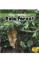 Living and Nonliving in the Rain Forest