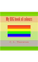 My BIG book of colours