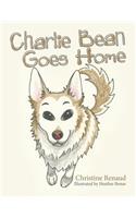 Charlie Bean Goes Home