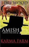 Amish Above The Law 2